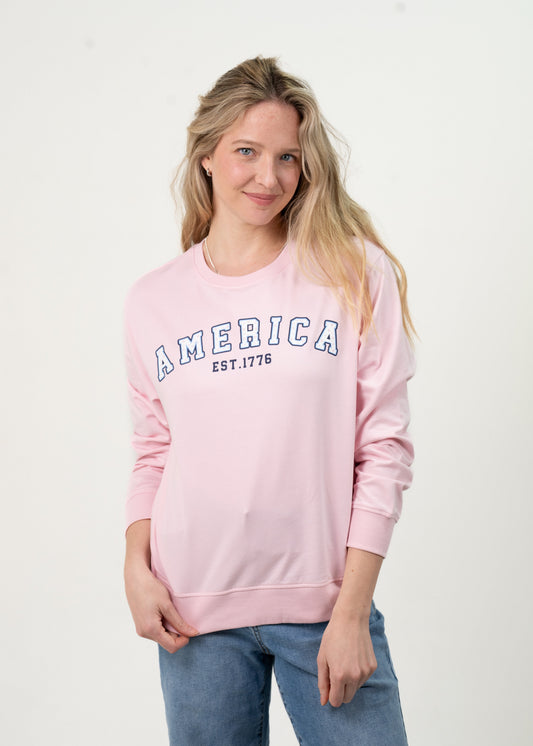 Pink Americana Crewneck image 2